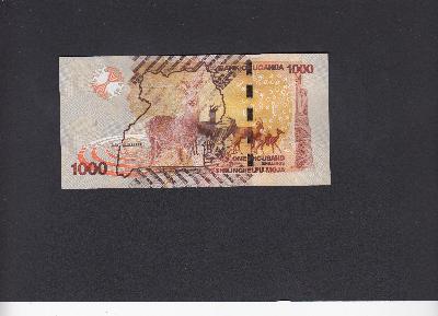 Beschrijving achterzijde: KUDU